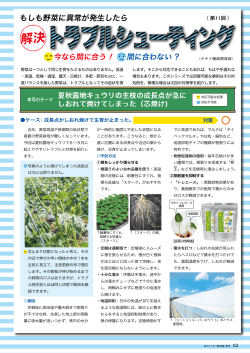 解決 - タキイ種苗