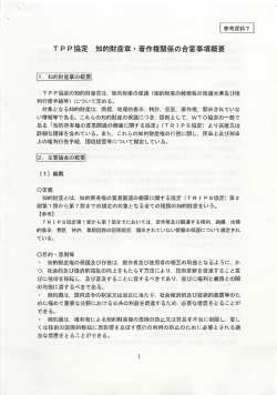 TPP協定 知的財産量=著作権関係の合意事項概要