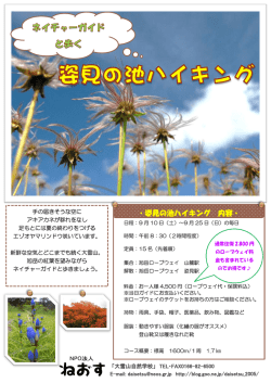 ・姿見の池ハイキング 内容・