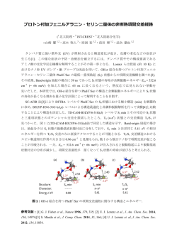プロトン付加フェニルアラニン・セリン二量体の非断熱項間交差経路