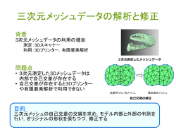 三次元メッシュデータの解析と修正