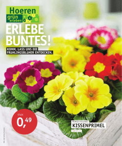 Hoeren Prospekt - Hoeren Garten und Landschaftsbau