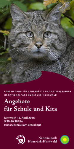 Angebote für die Kita im Nationalpark Hunsrück