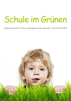GMG-Seiten der Brosch&uuml;re