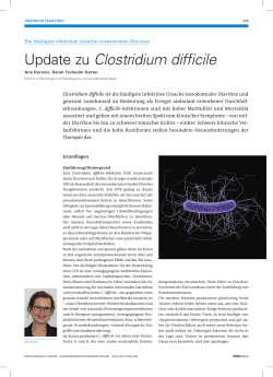 Update zu Clostridium difficile