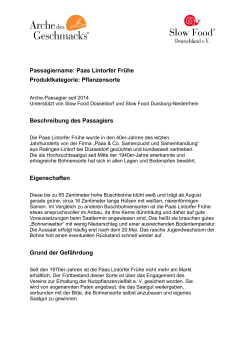 Paas Lintorfer Frühe