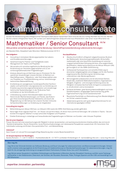 Mathematiker / Senior Consultant m/w