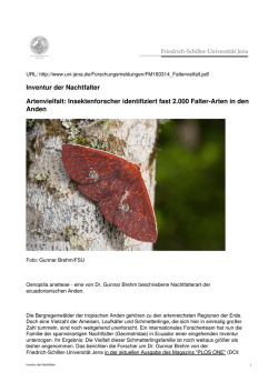 Insektenforscher identifiziert fast 2.000 Falter