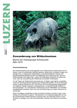 Bericht Arbeitsgruppe Schwarzwild