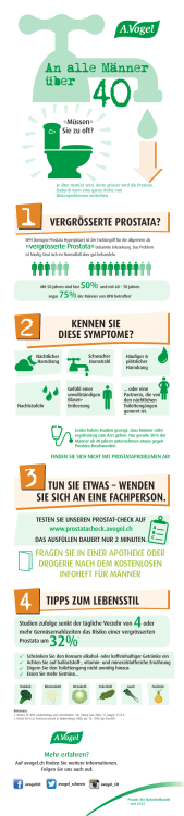 Druck-Version anzeigen