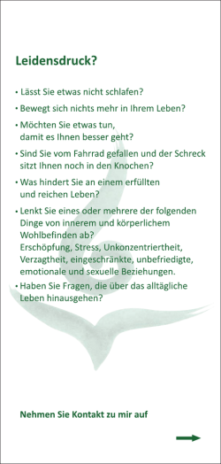 Leidensdruck - Marianne Wirth