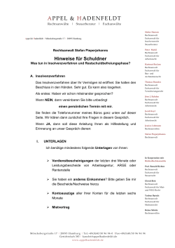 PDF-Dokument ‚Hinweise für Schuldner