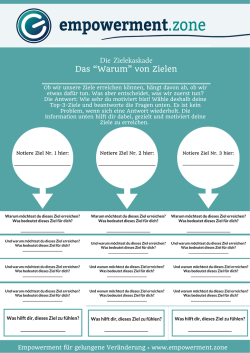 Die Zielekaskade - Christoph Schalk