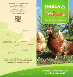 Faltblatt Frische Eier - Holstein-Ei