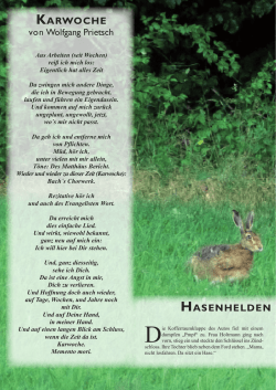 Hasenhelden - Durchblick