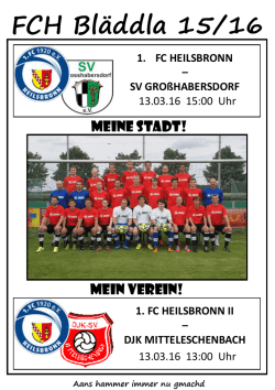 1. fc heilsbronn ii