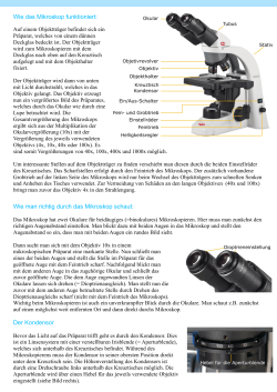 Hinweise zur Anwendung des BA210E (PDF / 0,3MB)