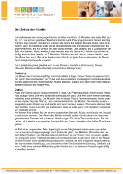 PDF - der Zyklus der Hündin März 2016