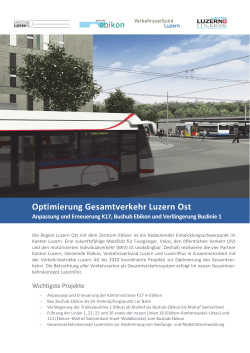 Flyer Optimierung Gesamtverkehr Luzern Ost