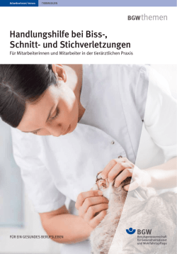 Handlungshilfe herunterladen