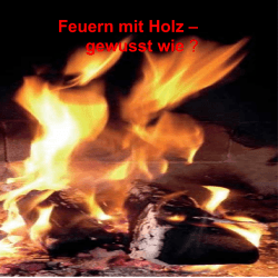 Feuern mit Holz – gewusst wie - Kaminfegergeschäft Hanspeter Koch