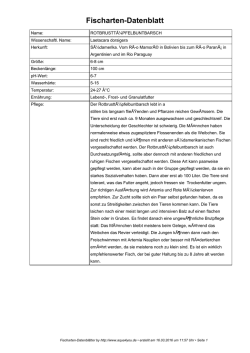 aqua4you Fischarten-Datenblatt: RotbrusttÃ¼pfelbuntbarsch