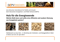 Holz für die Energiewende - Forum Umwelt & Entwicklung