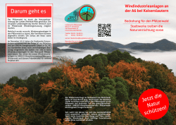 IPP-Flyer - Initiative Pro Pfälzerwald