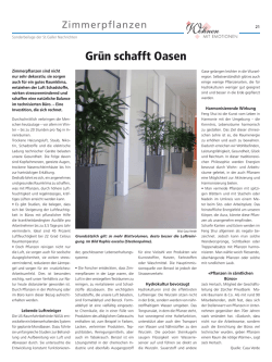 Grün schafft Oasen - Casa Verde Innen + Aussenbegrünung AG