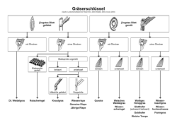 Gr&auml;serschl&uuml;ssel