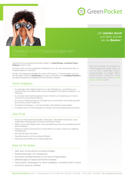Praktikum im IT-Projektmanagement