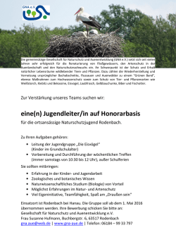 eine(n) Jugendleiter/in auf Honorarbasis