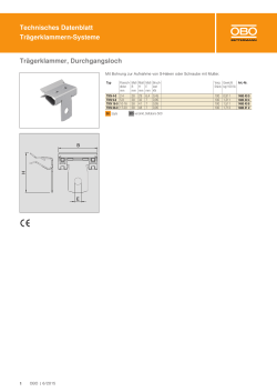 Technisches Datenblatt Trägerklammern-Systeme