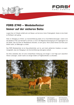 Flyer Monatstipp