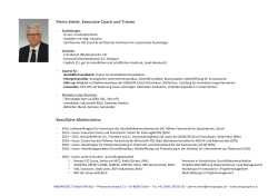 Profil von Pierre Amiet (CV, PDF)