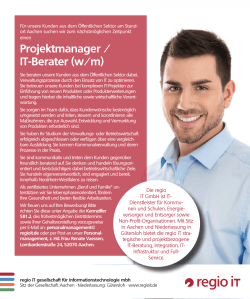 Projektmanager / IT-Berater (w/m)