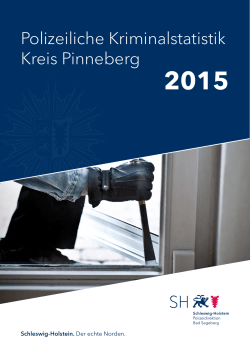 Polizeiliche Kriminalstatistik Kreis Pinneberg
