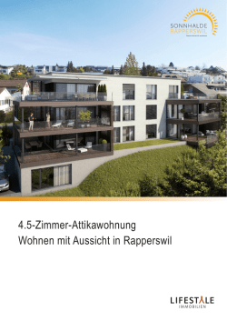 4.5-Zimmer-Attikawohnung