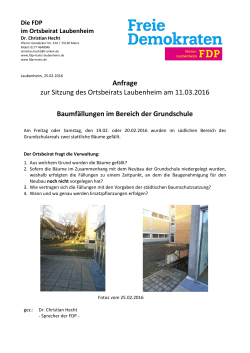 Baumfällungen im Bereich der Grundschule - FDP Mainz