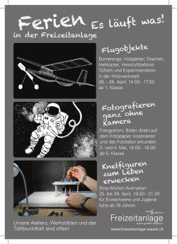 Info-Flyer