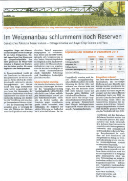 im weizenanbau schlummern noch reserven genetisches