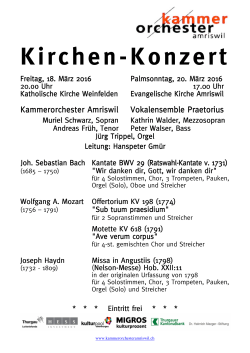 Programm - Kammerorchester Amriswil