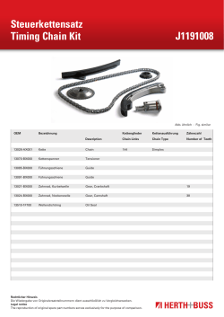 Steuerkettensatz Timing Chain Kit J1191008 - e