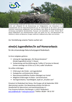 eine(n) Jugendleiter/in auf Honorarbasis