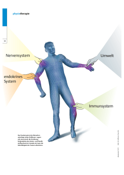 Nervensystem Immunsystem endokrines System Umwelt