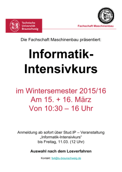 Informatik- Intensivkurs