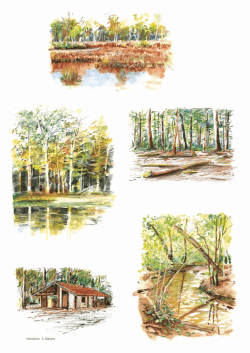 illustrations : A. Mahuzier