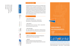 Info-Flyer downloaden - Modellprojekt Leitplanke