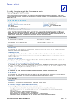 Produktinformationsblatt Aktien