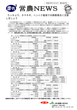 ラッキョウ、タマネギ、ニンニク栽培での病害発生に注意 しましょう